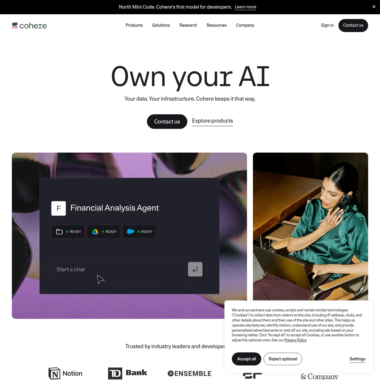 Screenshot of Cohere