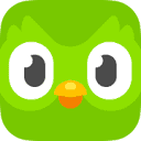 icon of Duolingo