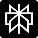 Logo of Perplexity