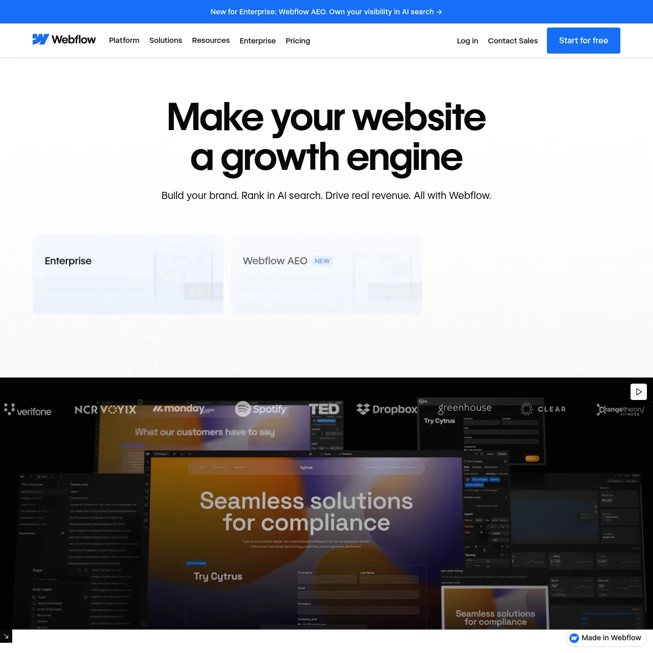 Webflow preview
