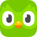 Logo of www.duolingo.com